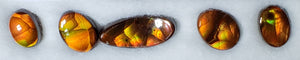 Fire Agate set of 5